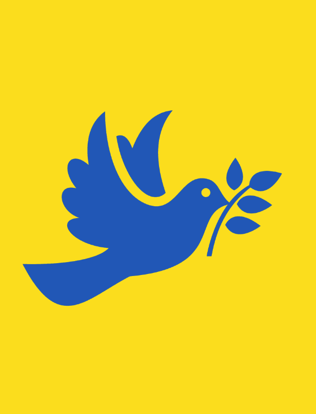 Ukraine officially agrees to a US backed ceasefire framework by June 30? market image